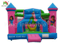 아이 옥외 Activites를 위한 Inflatable Commercial Bounce Houses 튼튼한 PVC 분홍색 공주