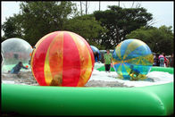 물 공원을 위한 물 공에 혼합 색깔 2m 직경에 의하여 주문을 받아서 만들어지는 PVC Wak