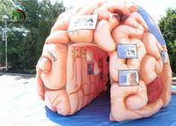 거인 4m 교육 SGS EN71를 위한 팽창식 뇌 복사 인공 기관