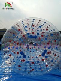 다채로운 점/물 롤러를 가진 아이를 위한 주문 팽창식 재미 회전 장난감